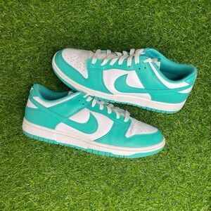 Nike Dunk Low Clear Jade Size Men’s 10